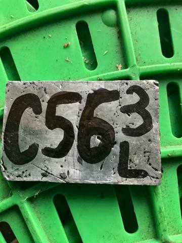 3C0810971B Подкрылок крыла заднего левый купить Винница