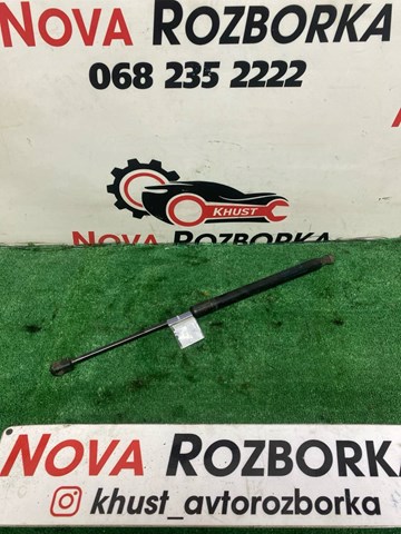 Амортизатор для багажника газовый 3C9827550A VAG