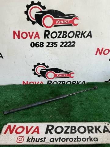 3G9827550A VAG Амортизатор багажника купить в Днепр