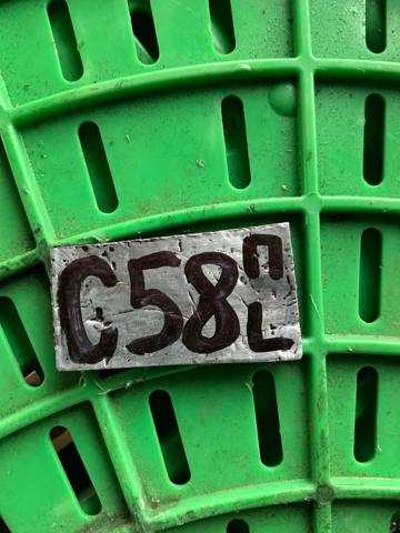 63841EB300 Подкрылок крыла переднего левый купить Киев
