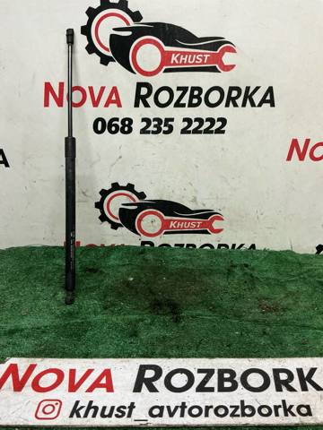 Амортизатор задней двери 95494360 GM