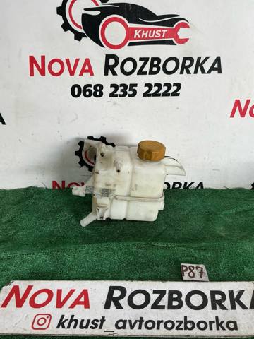 Бачок системы охлаждения двигателя расширительный 96837836 GM
