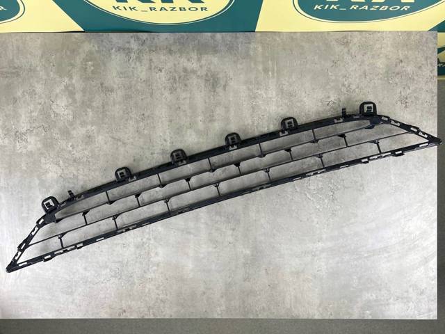 51117319768 BMW Решетка бампера переднего нижняя купить в Сумы