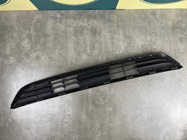 51117338491 BMW Решетка бампера переднего центральная купить в Черновцы