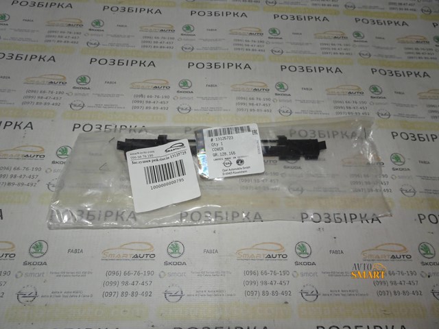 Заглушка рельсы/рейлинга багажника крыши, задняя 13125725 GM