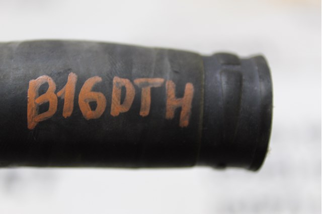 55591998 GM купить в Ужгород