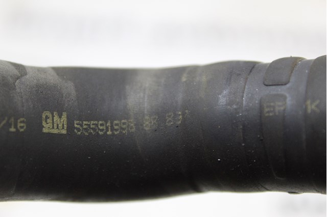 GM 55591998 в наличии Винница