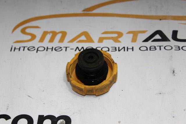 GM 9202799 Крышка расширительного бачка в наличии Ровно