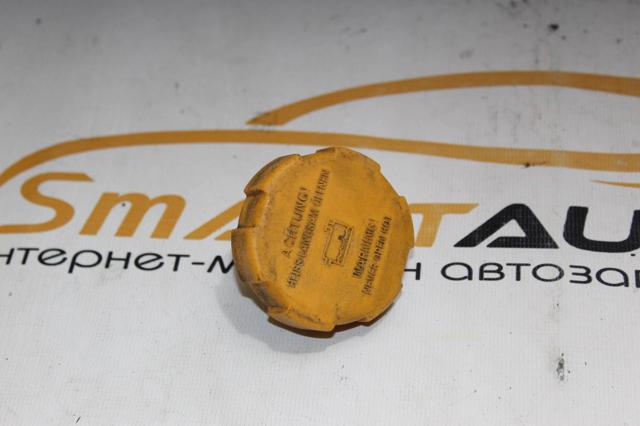 Пробка расширительного бачка 9202799 GM