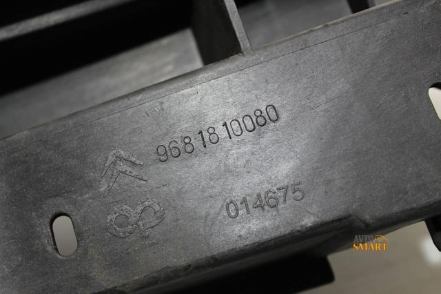 PEUGEOT 9681810080 в наличии Ужгород