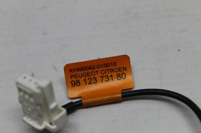 9812373180 PEUGEOT купить в Киев