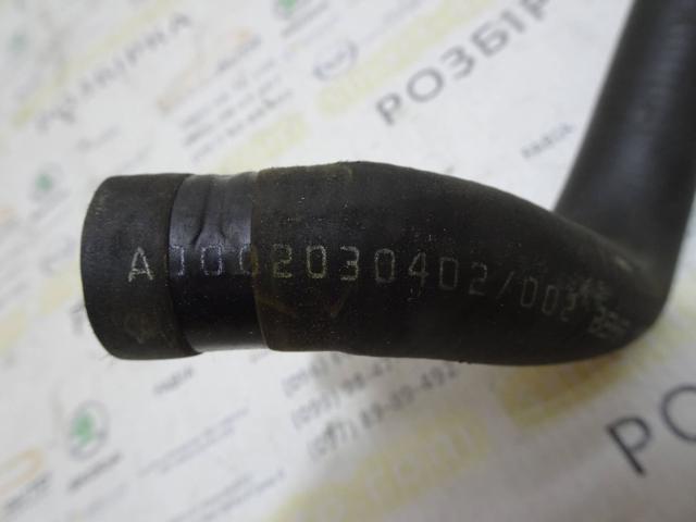 A0002030402 MERCEDES Шланг (патрубок) радиатора охлаждения нижний купить в Житомир