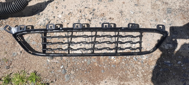 51118056521 BMW Решетка бампера переднего нижняя купить в Полтава