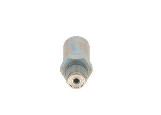 BOSCH 1110010030 Клапан редукционный в наличии Павлоград