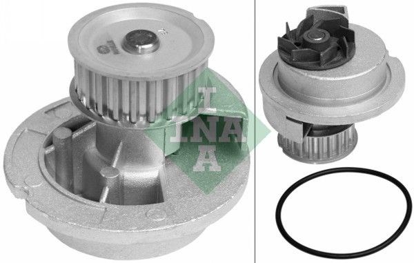 INA 538003010 Помпа в наличии Украина