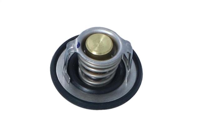 725208 NRF Термостат купить в Черновцы