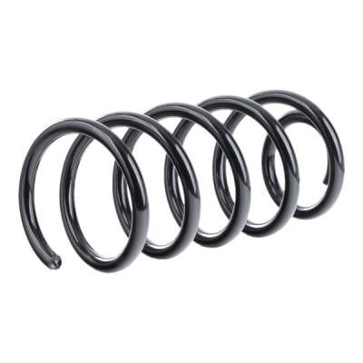 KAYABA RA5340 Пружина задняя в наличии Львов