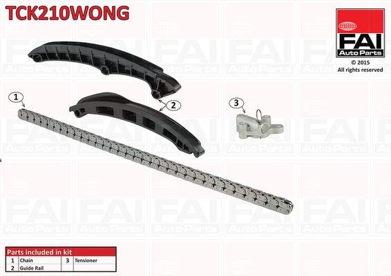 TCK210WONG FAI Комплект цепи ГРМ купить в Украина