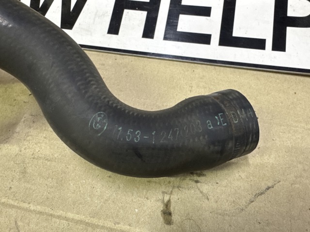 11531247203 BMW Шланг (патрубок) радиатора охлаждения нижний купить в Львов