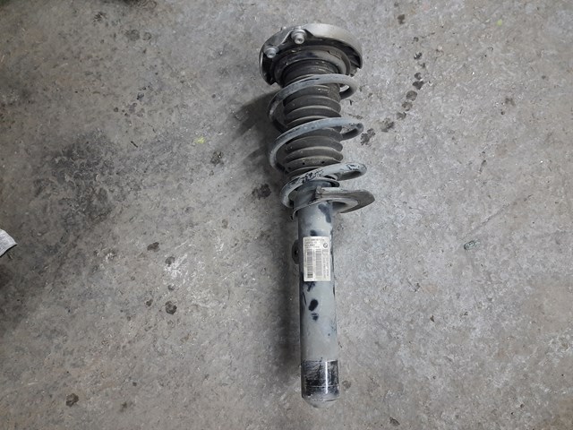 Амортизатор подвески передний левый 31316861671 BMW