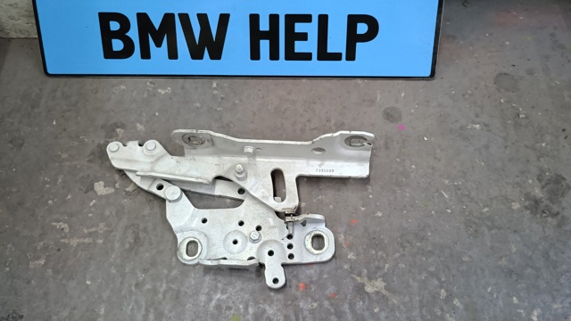 BMW 41617286343 Петля капота левая в наличии Черновцы