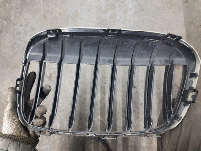 BMW 51117383364 Решетка радиатора правая в наличии Запорожье