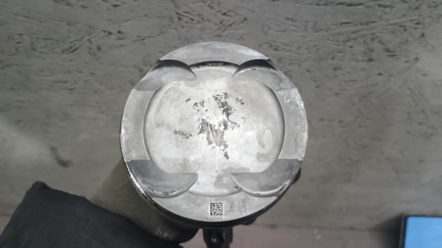 Поршня на 1 цилиндр, STD 8638448 BMW