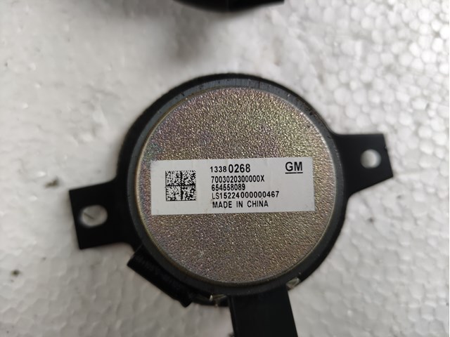 GM 13380268 в наличии Днепр
