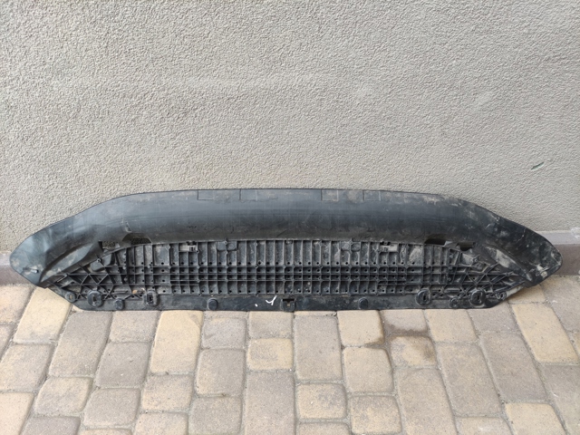 Кенгурятник 8W0807611F VAG