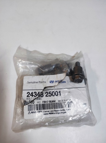 2434825001 HYUNDAI Натяжитель цепи ГРМ купить в Сумы
