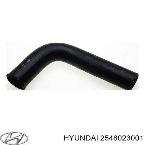 Шланг термостата 2548023001 HYUNDAI