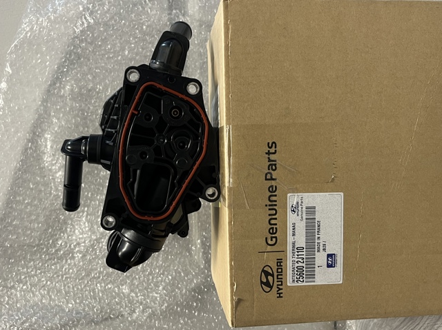 HYUNDAI 256002J110 в наличии Кривой Рог