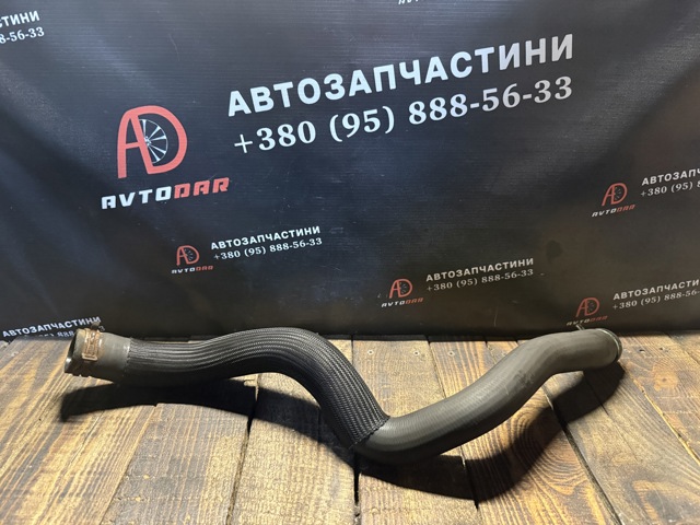 215010021R RENAULT Патрубок радиатора купить в Павлоград