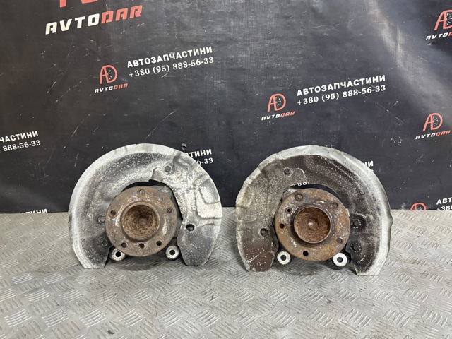 Цапфа поворотного кулака 31216793924 BMW