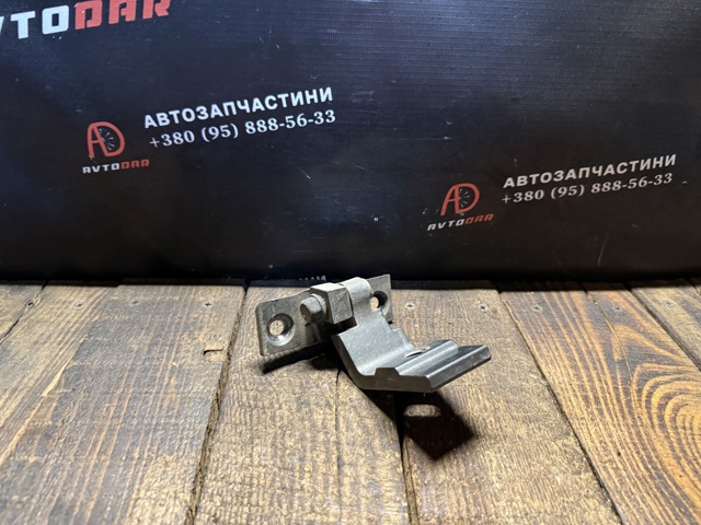 BMW 41527200245 Петля двери задней левой в наличии Черновцы