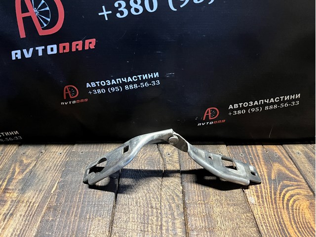 Петля капота, левая 41618135069 BMW