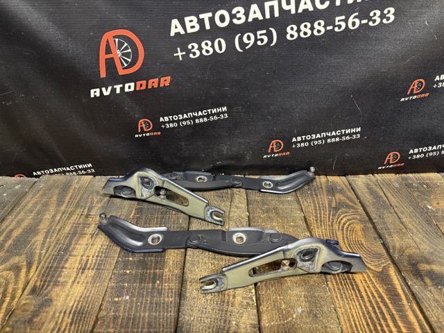 41627210675 BMW Петля крышки багажника купить в Ровно