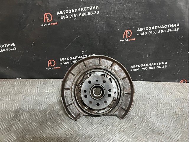 Цапфа (поворотный кулак) задний правый A1643501408 MERCEDES