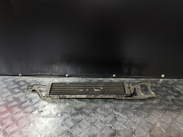 Радиатор охлаждения, АКПП/КПП A1695000200 MERCEDES