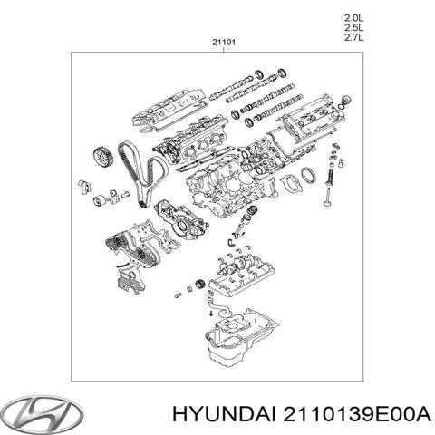 Двигатель в сборе 2110139E00A HYUNDAI