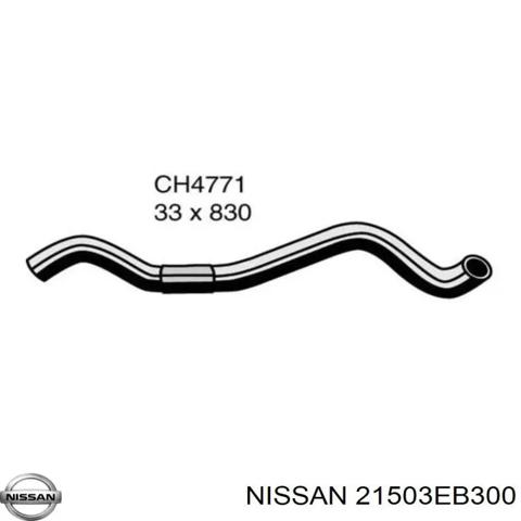21503EB300 NISSAN Шланг (патрубок) радиатора охлаждения нижний купить в Хмельницкий