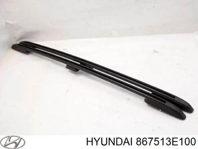 867513E100 HYUNDAI Рейлинг крыши левый купить в Сумы