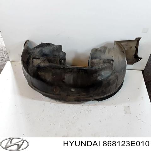 HYUNDAI 868123E010 Подкрылок крыла переднего правый в наличии Каменское