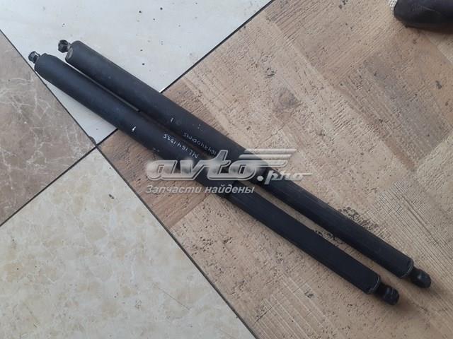 A1647400445 MERCEDES Амортизатор крышки багажника (двери 3/5-й задней) купить в Кривой Рог
