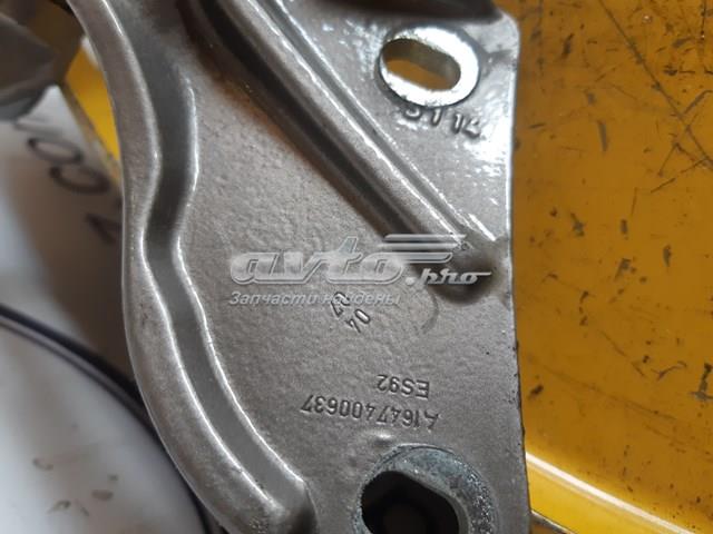 A1647400637 MERCEDES Петля крышки багажника купить в Ужгород