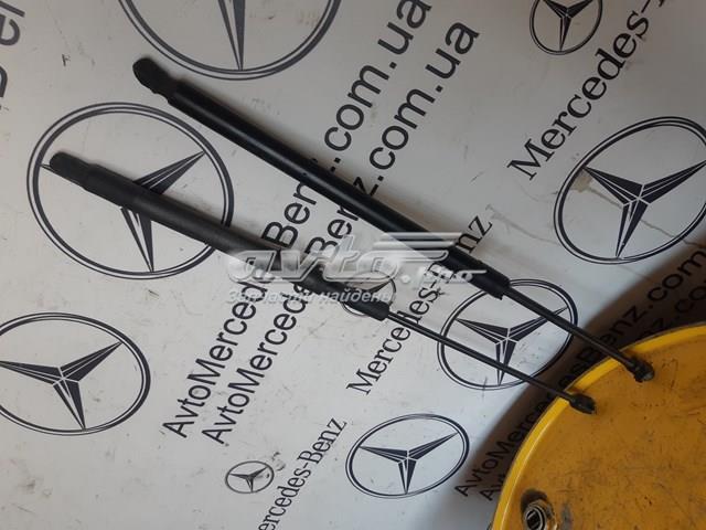 MERCEDES A1648800129 Амортизатор капота правый в наличии Николаев