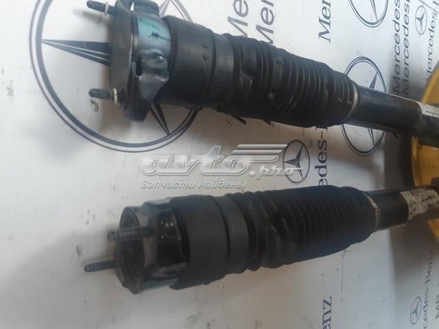 MERCEDES A1663261500 в наличии Каменское