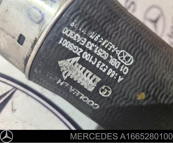A1665280100 Патрубок интеркулера купить Хмельницкий