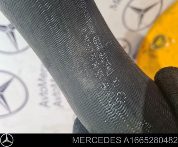 MERCEDES A1665280482 Шланг (патрубок) интеркуллера в наличии Каменское