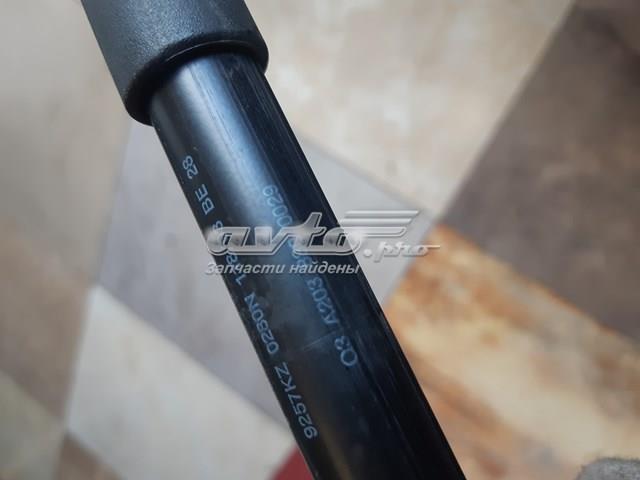 A2038800029 Амортизатор капота правый купить Украина